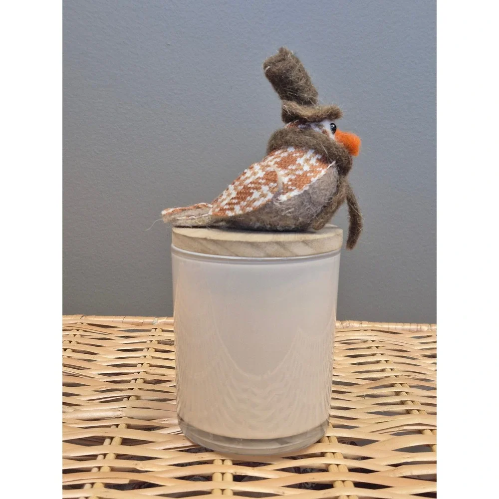 Red Leaf Home Butternut Pumpkin Candle 11oz Felt Bird Topper Fall Decor Gift